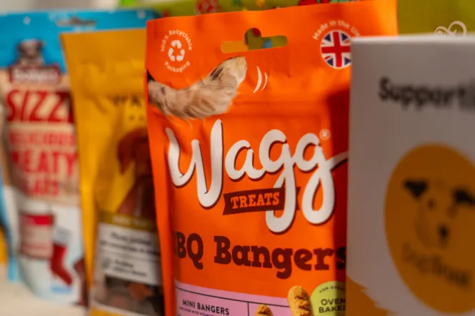 BTS DOG SHOOT WEB 10