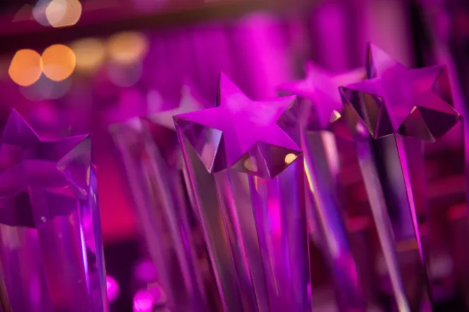 STAFFORD CELEBRATIONAWARDS web 6