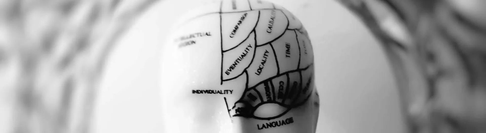 ADULT SHOOT OCT WEB 6