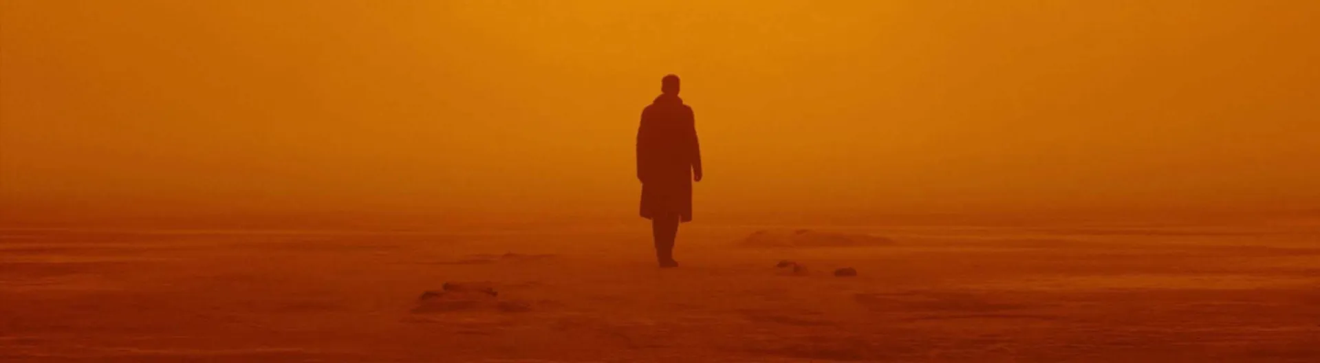 ADULT SHOOT OCT WEB 9