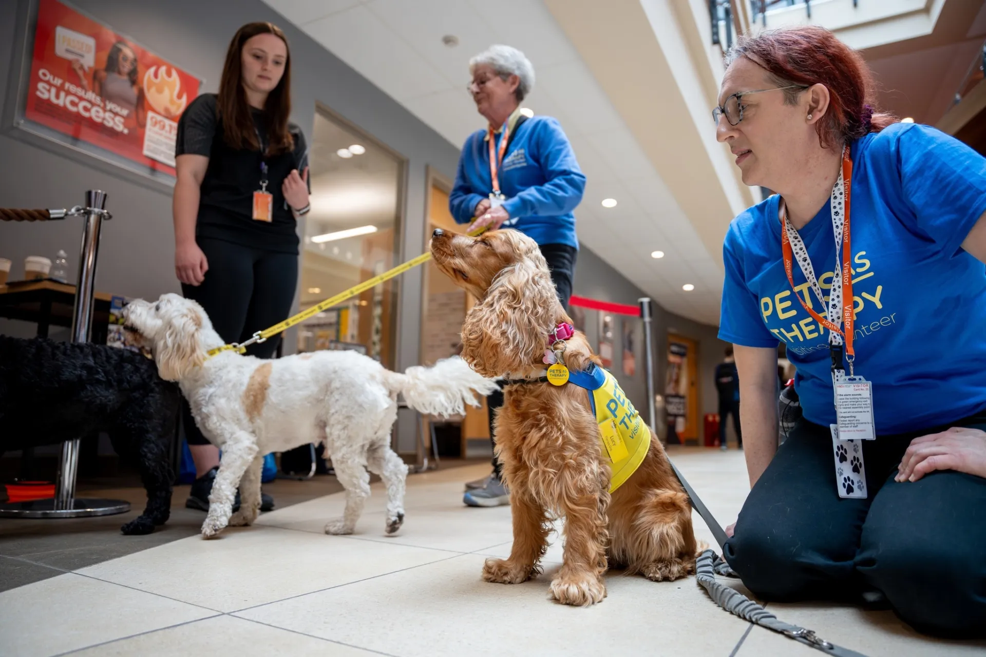 20240522 Mental health day banner
