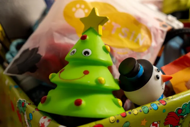 BTS DOG SHOOT WEB 11