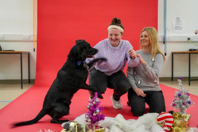 DOG PHOTOSHOOT WEB 4